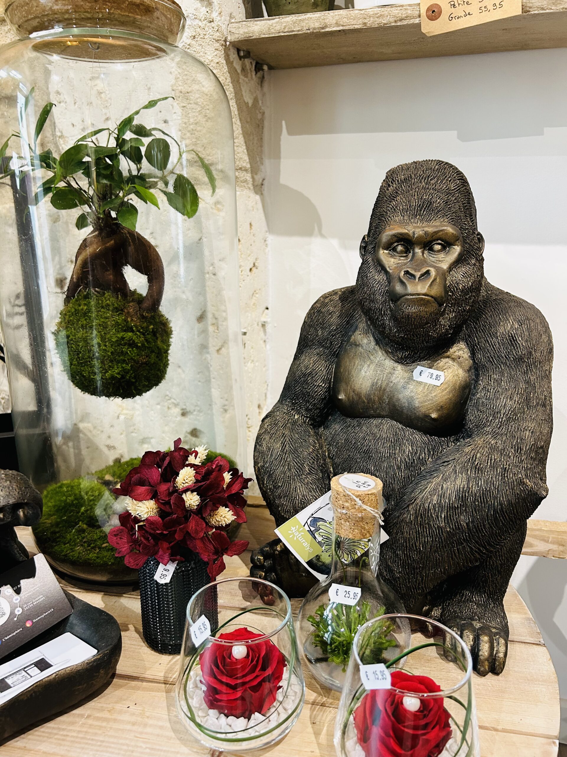 Concept Store Charente